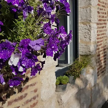 - Le 1882 Villequier